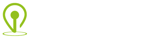 Ineedem Logo
